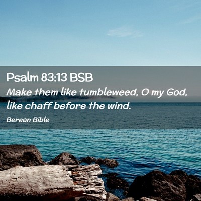 Picture 02 - Psalm 83:13 BSB - Make them like tumbleweed, O my God, like chaff - Bible Verse Picture