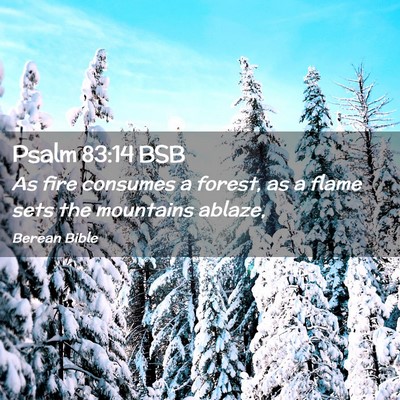Picture 02 - Psalm 83:14 BSB - As fire consumes a forest, as a flame sets the - Bible Verse Picture
