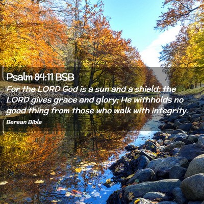 Picture 02 - Psalm 84:11 BSB - For the LORD God is a sun and a shield; the LORD - Bible Verse Picture