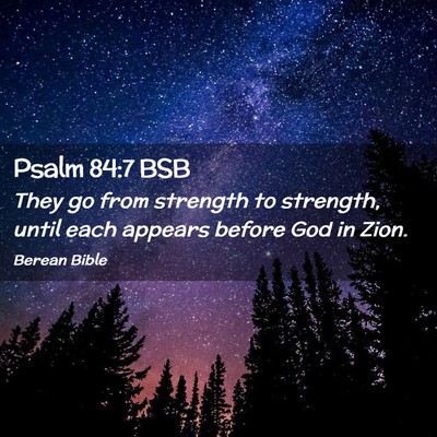 Picture 02 - Psalm 84:7 BSB - They go from strength to strength, until each - Bible Verse Picture