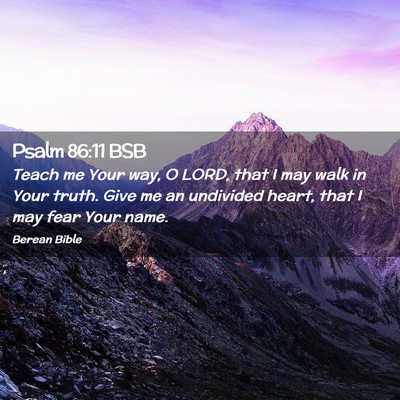 Picture 02 - Psalm 86:11 BSB - Teach me Your way, O LORD, that I may walk in - Bible Verse Picture