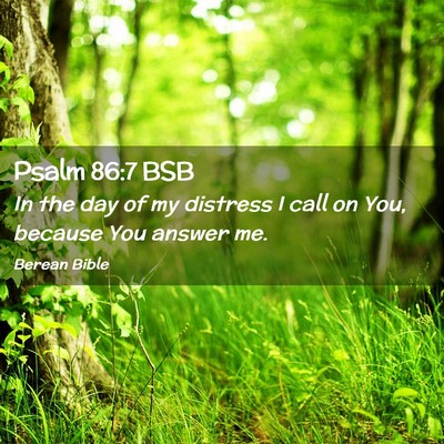 Picture 02 - Psalm 86:7 BSB - In the day of my distress I call on You, because - Bible Verse Picture