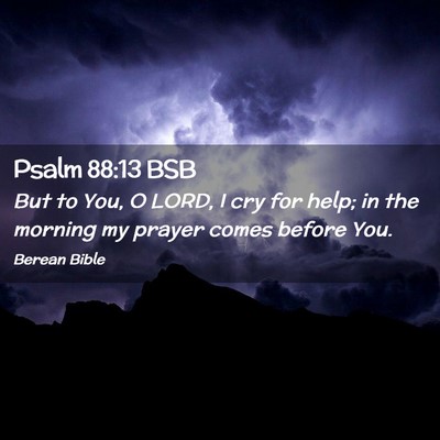Picture 02 - Psalm 88:13 BSB - But to You, O LORD, I cry for help; in the - Bible Verse Picture