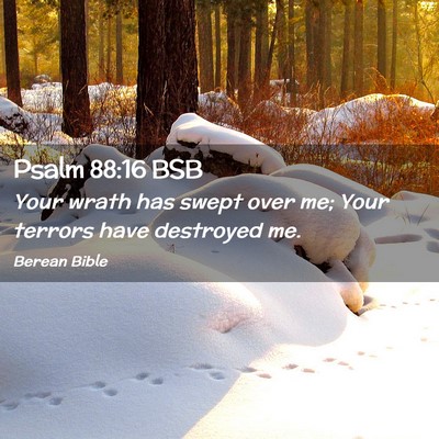 Picture 02 - Psalm 88:16 BSB - Your wrath has swept over me; Your terrors have - Bible Verse Picture