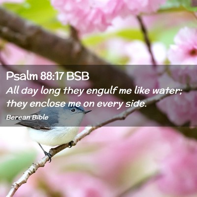 Picture 02 - Psalm 88:17 BSB - All day long they engulf me like water; they - Bible Verse Picture