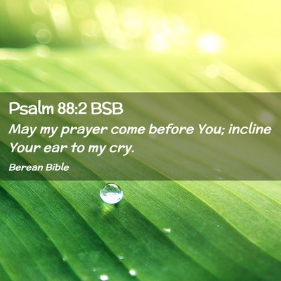 Picture 02 - Psalm 88:2 BSB - May my prayer come before You; incline Your ear - Bible Verse Picture