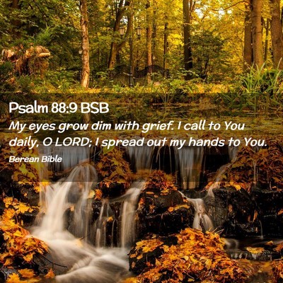 Picture 02 - Psalm 88:9 BSB - My eyes grow dim with grief. I call to You daily, - Bible Verse Picture