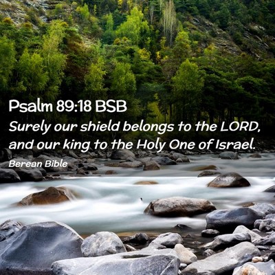 Picture 02 - Psalm 89:18 BSB - Surely our shield belongs to the LORD, and our - Bible Verse Picture