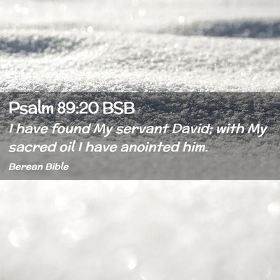 Picture 02 - Psalm 89:20 BSB - I have found My servant David; with My sacred oil - Bible Verse Picture