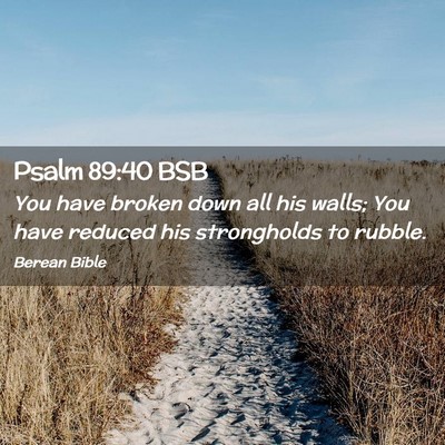 Picture 02 - Psalm 89:40 BSB - You have broken down all his walls; You have - Bible Verse Picture