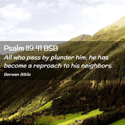 Picture 02 - Psalm 89:41 BSB - All who pass by plunder him; he has become a - Bible Verse Picture