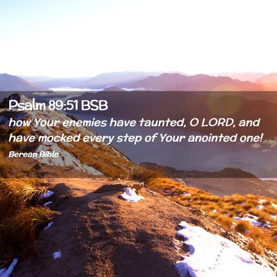 Picture 02 - Psalm 89:51 BSB - how Your enemies have taunted, O LORD, and have - Bible Verse Picture