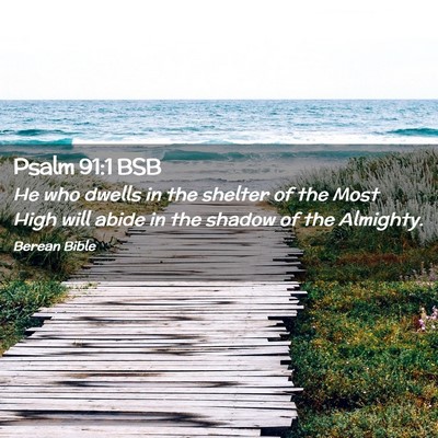 Picture 02 - Psalm 91:1 BSB - He who dwells in the shelter of the Most High - Bible Verse Picture