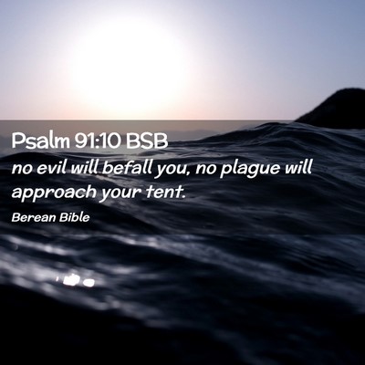 Picture 02 - Psalm 91:10 BSB - no evil will befall you, no plague will approach - Bible Verse Picture