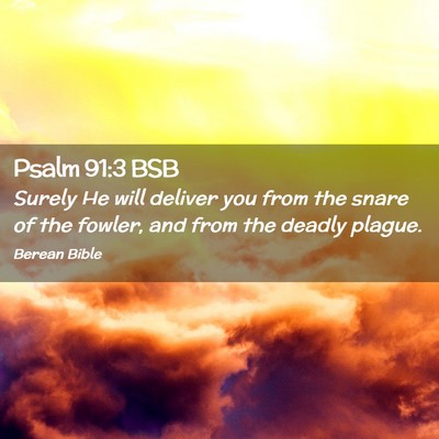 Picture 02 - Psalm 91:3 BSB - Surely He will deliver you from the snare of the - Bible Verse Picture