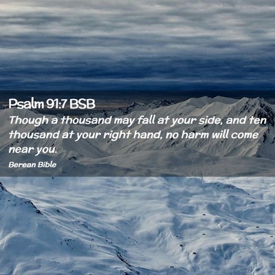 Picture 02 - Psalm 91:7 BSB - Though a thousand may fall at your side, and ten - Bible Verse Picture