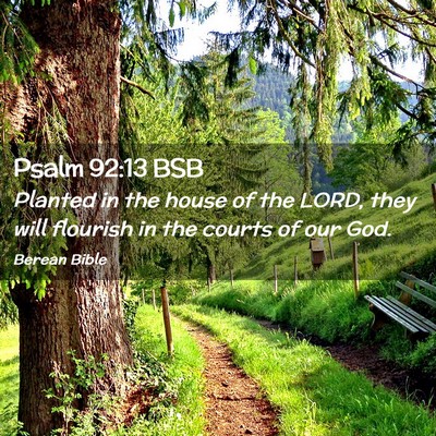 Picture 02 - Psalm 92:13 BSB - Planted in the house of the LORD, they will - Bible Verse Picture