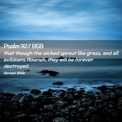 Picture 02 - Psalm 92:7 BSB - that though the wicked sprout like grass, and all - Bible Verse Picture