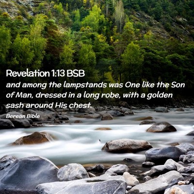 Picture 02 - Revelation 1:13 BSB - and among the lampstands was One like the Son of - Bible Verse Picture