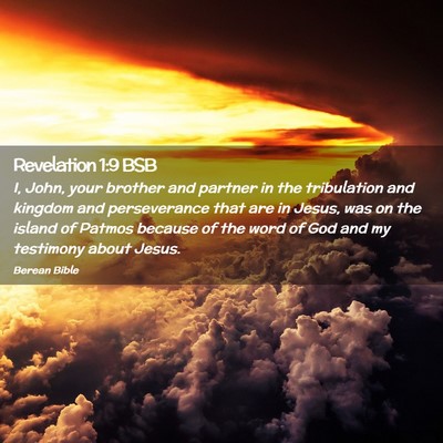 Picture 02 - Revelation 1:9 BSB - I, John, your brother and partner in the - Bible Verse Picture