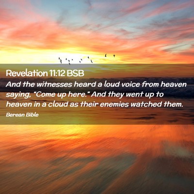 Picture 02 - Revelation 11:12 BSB - And the witnesses heard a loud voice from heaven - Bible Verse Picture