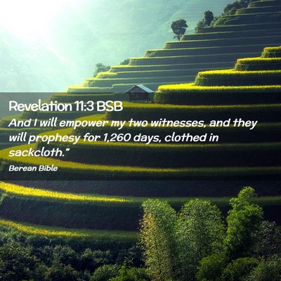 Picture 02 - Revelation 11:3 BSB - And I will empower my two witnesses, and they - Bible Verse Picture