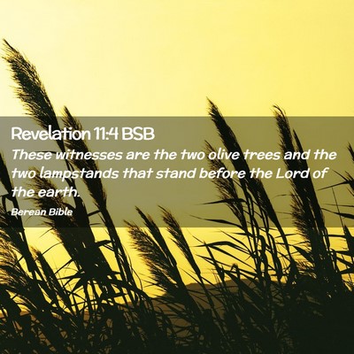 Picture 02 - Revelation 11:4 BSB - These witnesses are the two olive trees and the - Bible Verse Picture