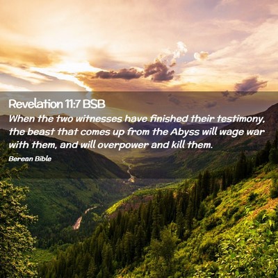 Picture 02 - Revelation 11:7 BSB - When the two witnesses have finished their - Bible Verse Picture