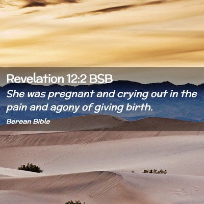 Picture 02 - Revelation 12:2 BSB - She was pregnant and crying out in the pain and - Bible Verse Picture