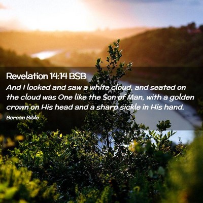 Picture 02 - Revelation 14:14 BSB - And I looked and saw a white cloud, and seated on - Bible Verse Picture