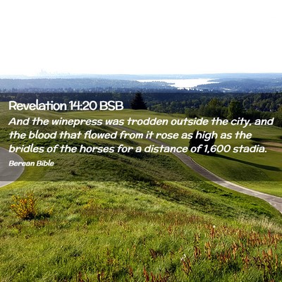 Picture 02 - Revelation 14:20 BSB - And the winepress was trodden outside the city, - Bible Verse Picture