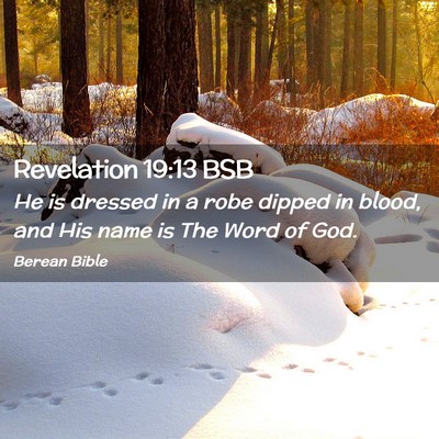 Picture 02 - Revelation 19:13 BSB - He is dressed in a robe dipped in blood, and His - Bible Verse Picture