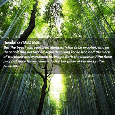 Picture 02 - Revelation 19:20 BSB - But the beast was captured along with the false - Bible Verse Picture