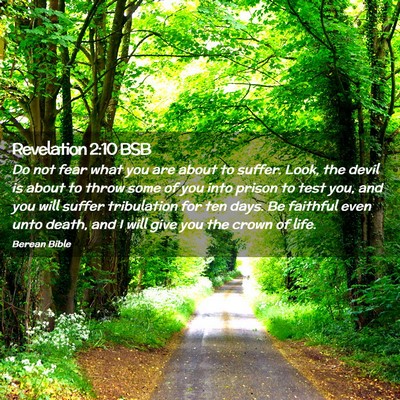 Picture 02 - Revelation 2:10 BSB - Do not fear what you are about to suffer. Look, - Bible Verse Picture