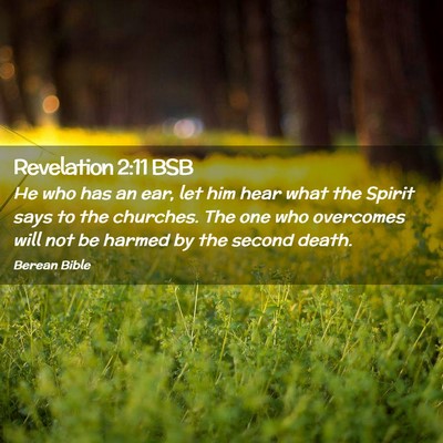 Picture 02 - Revelation 2:11 BSB - He who has an ear, let him hear what the Spirit - Bible Verse Picture