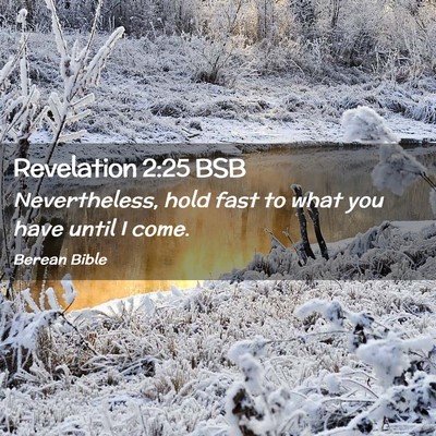 Picture 02 - Revelation 2:25 BSB - Nevertheless, hold fast to what you have until I - Bible Verse Picture