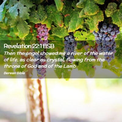 Picture 02 - Revelation 22:1 BSB - Then the angel showed me a river of the water of - Bible Verse Picture