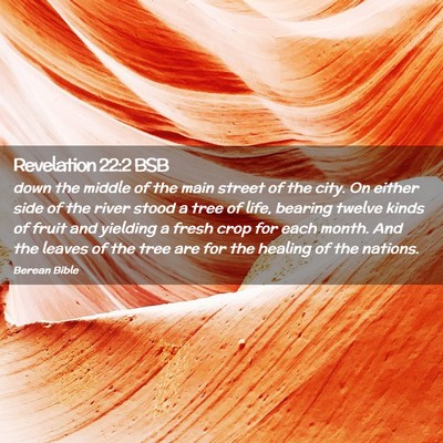 Picture 02 - Revelation 22:2 BSB - down the middle of the main street of the city. - Bible Verse Picture