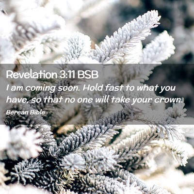Picture 02 - Revelation 3:11 BSB - I am coming soon. Hold fast to what you have, so - Bible Verse Picture