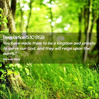 Picture 02 - Revelation 5:10 BSB - You have made them to be a kingdom and priests to - Bible Verse Picture