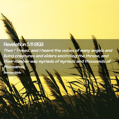 Picture 02 - Revelation 5:11 BSB - Then I looked, and I heard the voices of many - Bible Verse Picture