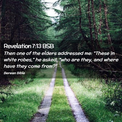 Picture 02 - Revelation 7:13 BSB - Then one of the elders addressed me: “These in - Bible Verse Picture