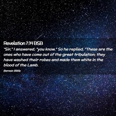 Picture 02 - Revelation 7:14 BSB - “Sir,” I answered, “you know.” So he - Bible Verse Picture