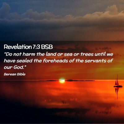 Picture 02 - Revelation 7:3 BSB - “Do not harm the land or sea or trees until we - Bible Verse Picture