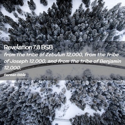 Picture 02 - Revelation 7:8 BSB - from the tribe of Zebulun 12,000, from the tribe - Bible Verse Picture