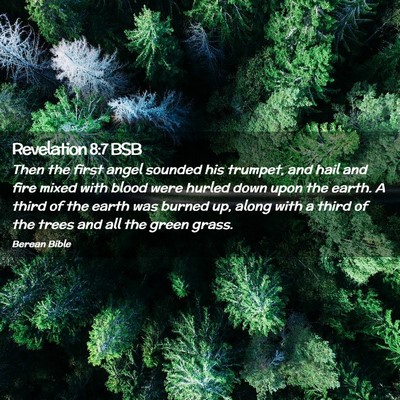 Picture 02 - Revelation 8:7 BSB - Then the first angel sounded his trumpet, and - Bible Verse Picture