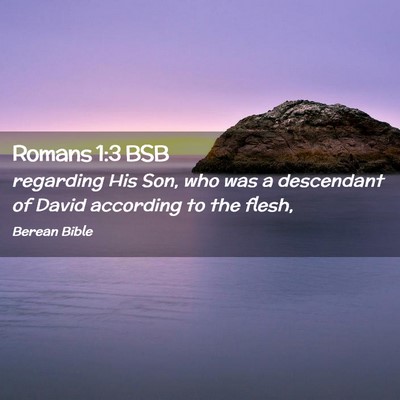 Picture 02 - Romans 1:3 BSB - regarding His Son, who was a descendant of David - Bible Verse Picture
