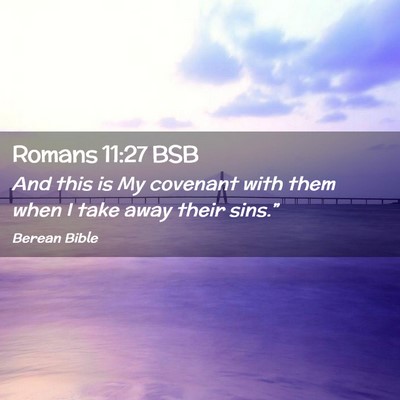 Picture 02 - Romans 11:27 BSB - And this is My covenant with them when I take - Bible Verse Picture