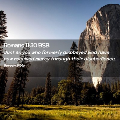 Picture 02 - Romans 11:30 BSB - Just as you who formerly disobeyed God have now - Bible Verse Picture