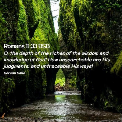 Picture 02 - Romans 11:33 BSB - O, the depth of the riches of the wisdom and - Bible Verse Picture